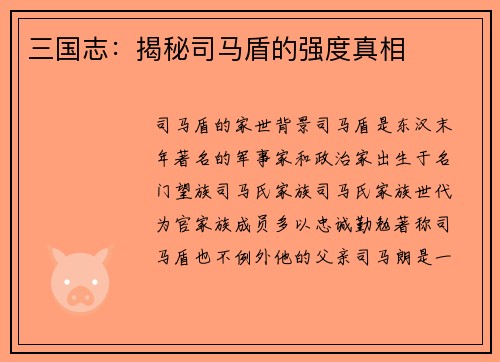 三国志：揭秘司马盾的强度真相